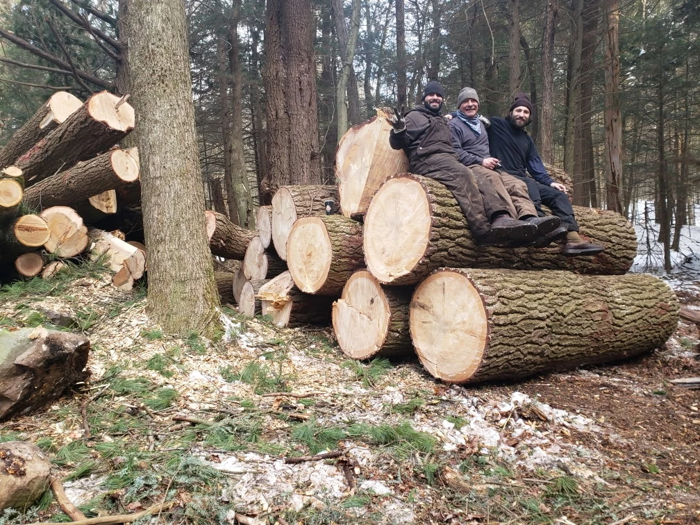 About Weidlich Brothers Tree Care